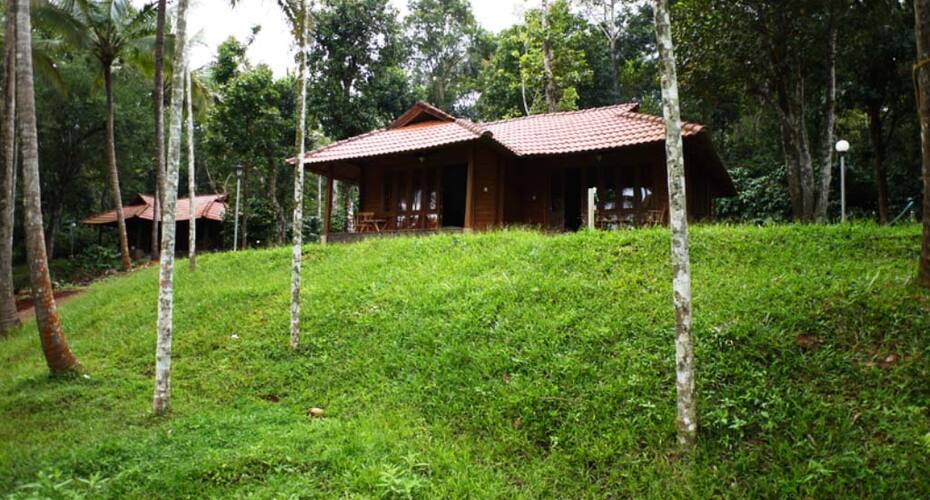 Zvasitana Cocoon Royale, Wayanad 2